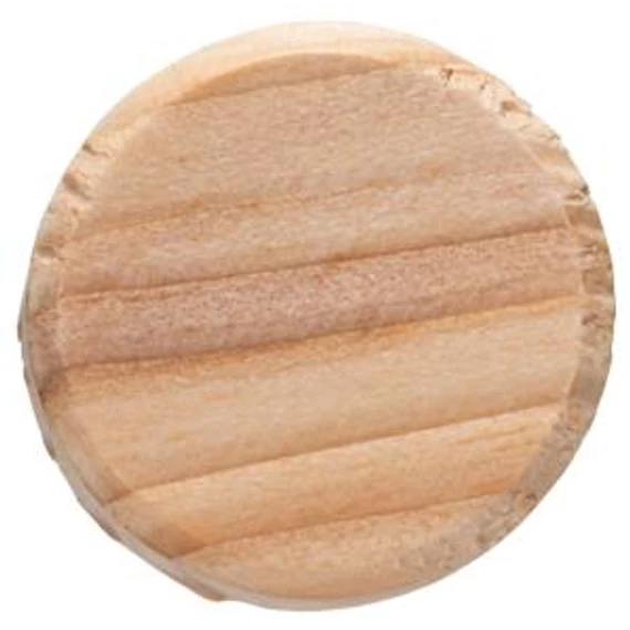Bosch DIY Holz Zapfen 25x10 (20), 2609255322